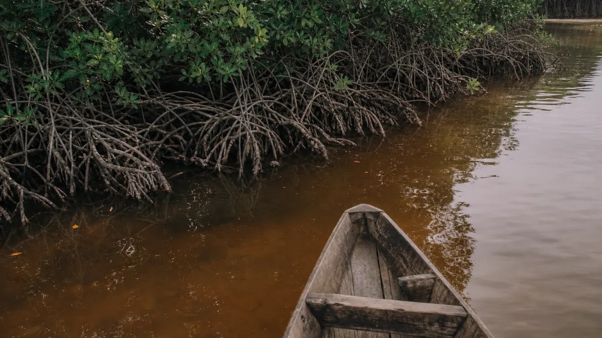 Tout savoir sur la ville de Bonny au Nigeria : guide complet